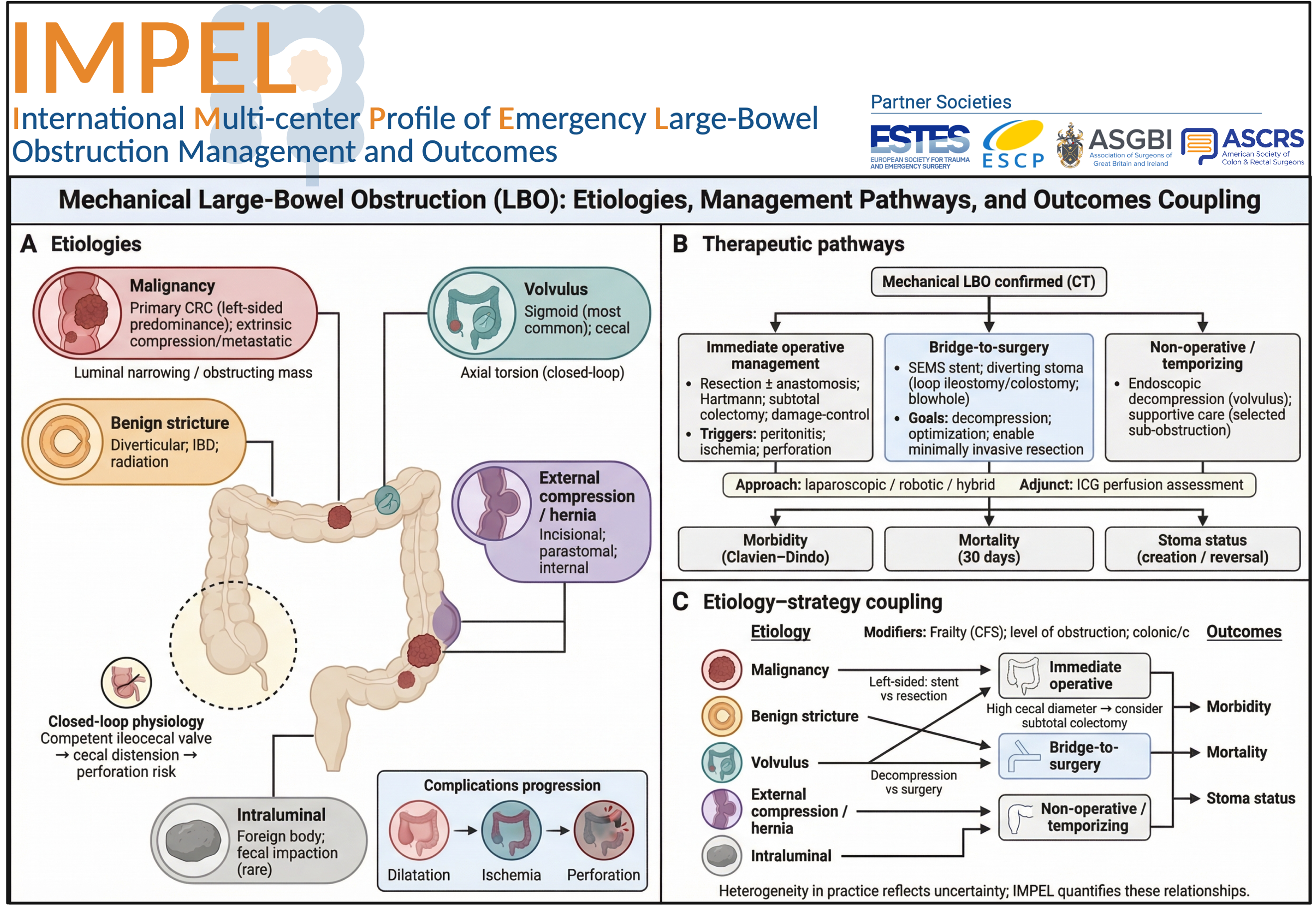 IMPEL pathway from practice patterns and disease aetiology through diagnosis, treatment, complications, and patient-related outcomes.